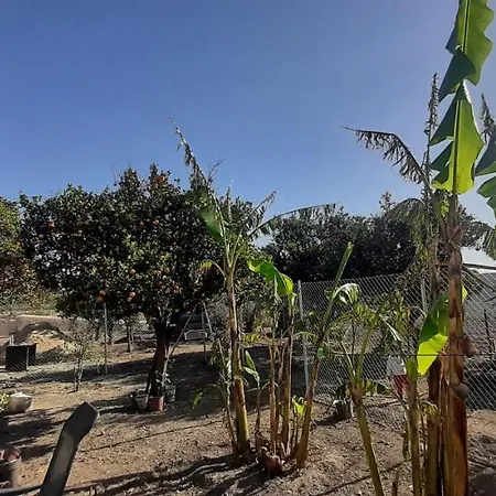 度假居 Cortijo Ferre, A Pies Del Castillo La Atalaya De *