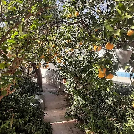 Cortijo Ferre, A Pies Del Castillo La Atalaya De 度假居 *